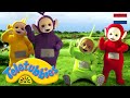 Teletubbies Nederlands | Regenboog | kinder programmas | tekenfilms | animatie | 1555