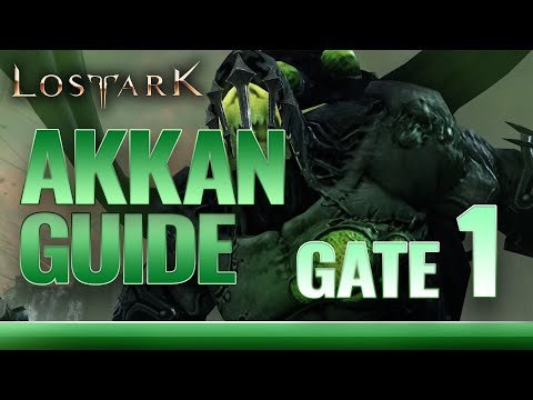 AKKAN Legion Raid - GATE 1 Detailed Guide