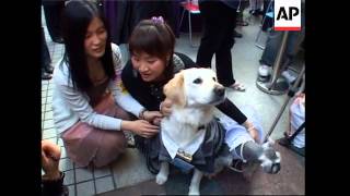 Dog weddings to mark Valentine's  Day