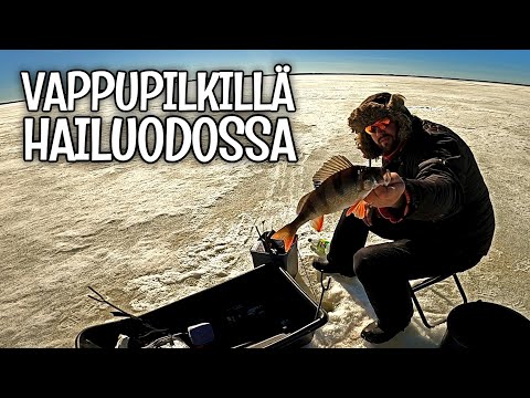 VAPPU FISHING IN HAILUOTO, ON THE BAY OF OJAKYLÄ