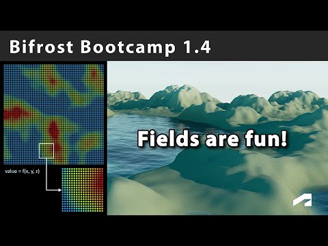 Bifrost Bootcamp 1.4 - Fundamentals of Fields