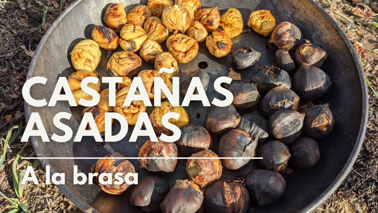 Watch Castañas Asadas en fuego de leña sin sabor a humo - Explicado Now Castañas Asadas en fuego de leña sin sabor a humo - Explicado