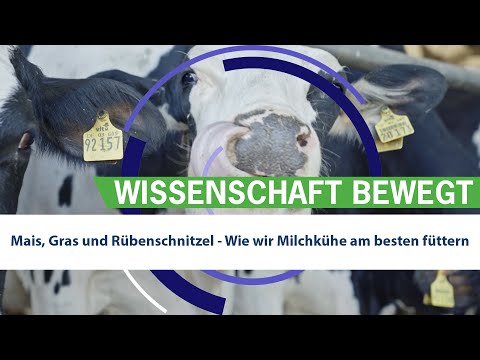 , title : 'Mais, Gras und Rübenschnitzel: Wie wir Milchkühe am besten füttern'