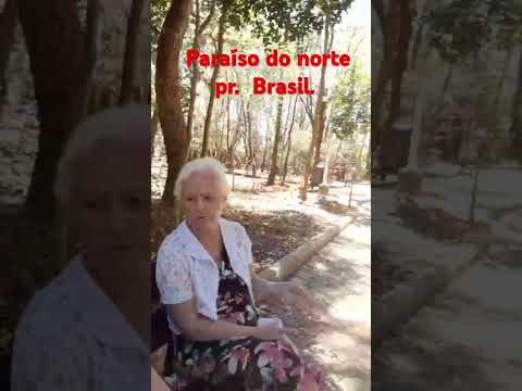 19/10/25,Bosque de  paraíso do norte pr.