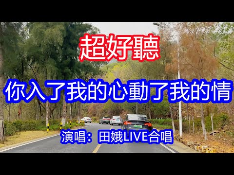 天呀！ 太好聽了，田娥超火傷感情歌《你入了我的心動了我的情》LIVE合唱，單曲循環聽不夠！從來沒人讓我如此動心，我痛徹心扉捲入了紅塵！唱的撕心裂肺，聽得痛哭流涕！南澳島風景！傷感情歌！療癒情歌！