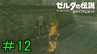 【実況】見落としが多い勇者の冒険part12【ブレスオブザワイルド】