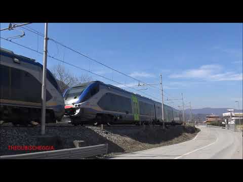 MINUETTO D. IN DOPPIA COMPOSIZIONE IN TRANSITO A ROBILANTE. (CN) DOM. 21 - 3 - 2021.