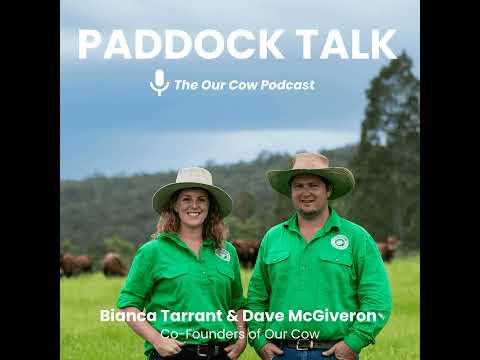 Paddock Talk - The Our Cow Podcast - Episode 1