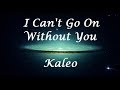 I Can't Go On Without You - Kaleo (Letra/Lyrics)