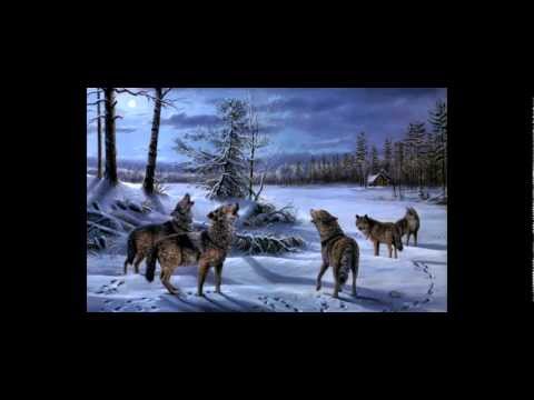 [metalrus] КиШ - Лесник (Vocal cover)