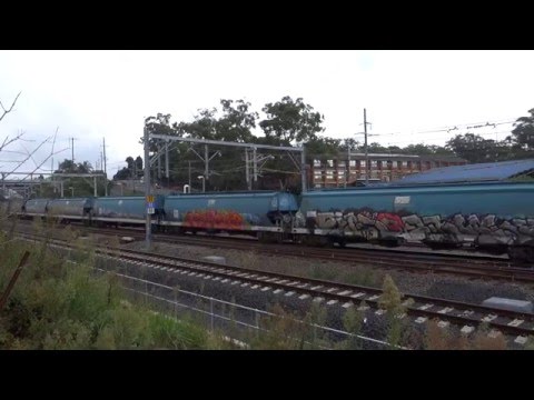 Triple 81's with PN 3422 canola train - 21/2/16