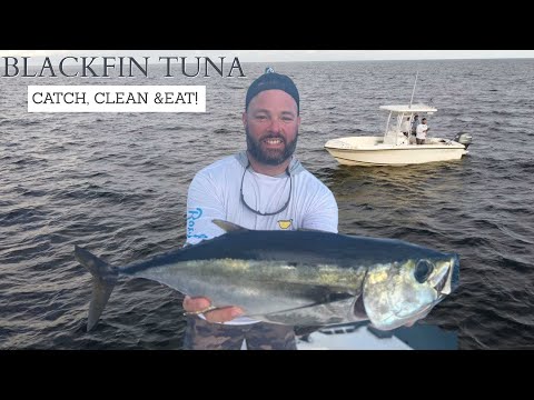 fishing the SWORDFISH grounds for the first time. TUNA SASHIMI! CATCH clean & EAT!