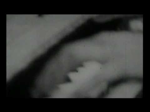 FITO PAEZ - Enloquecer