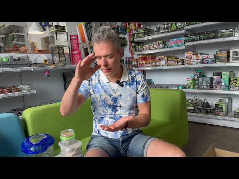 ChameleonFarm - Kaméleon kezdő csomag A-Z-ig útmutató