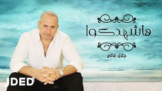 كلمات اغنية هاشهدكو جلال غالي