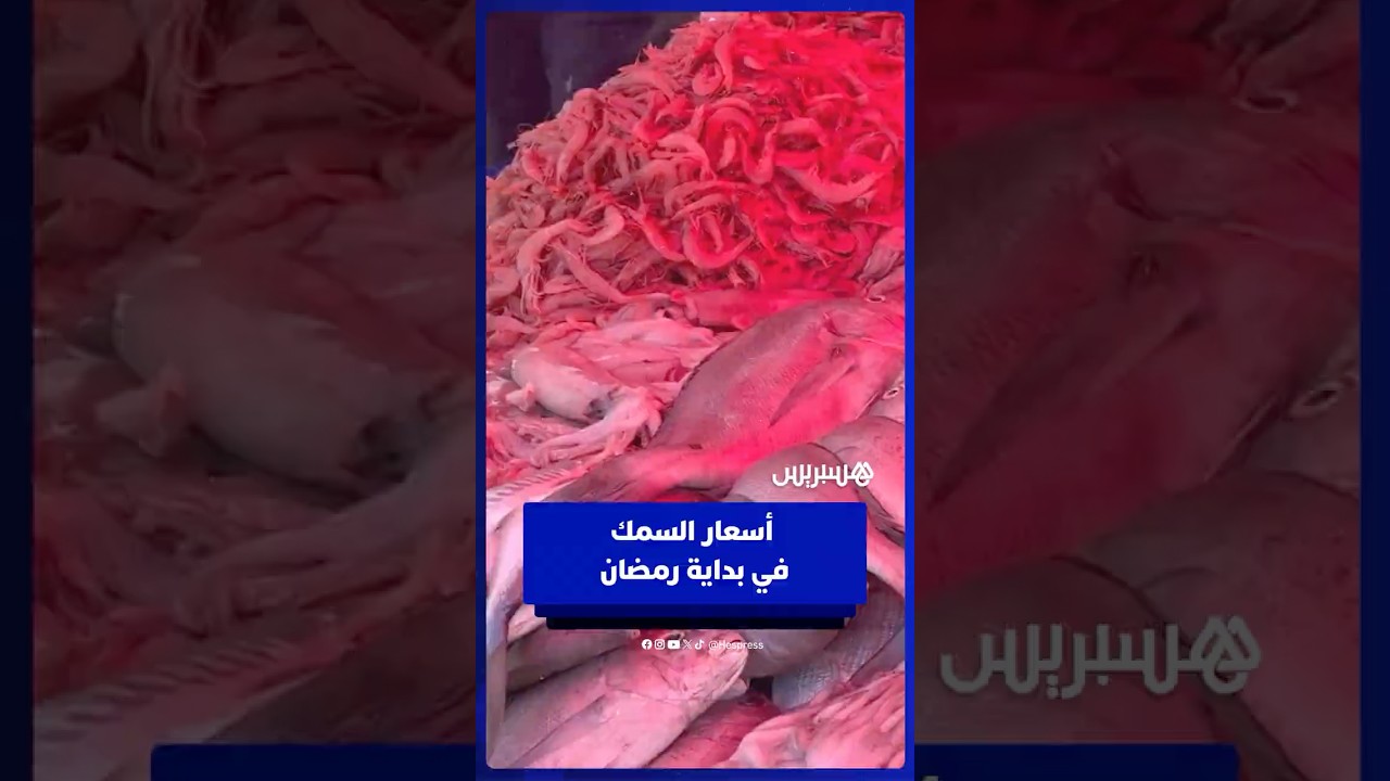 مع بداية رمضان .. أسعار السمك تشتعل والمجمد ملاذ المستهلكين بأسعار مناسبة thumbnail