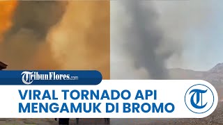 Begini Video Viral Tornado Api di Tengah Kebakaran Savana Bromo, Membubung Tinggi ke Udara