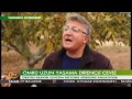 Bir ceviz ağacı kaç yılda yetişir? Ceviz nasıl yetiştirilir? Bir ceviz ağacı kaç yılda yetişir? Ceviz nasıl yetiştirilir?