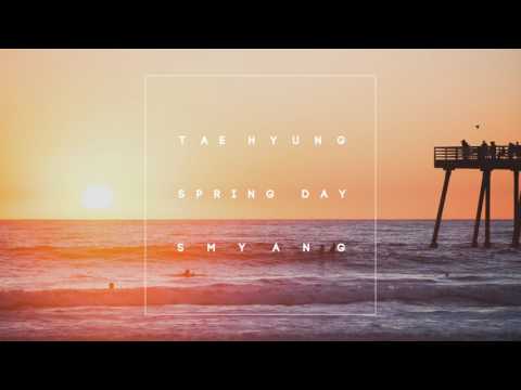 BTS '봄날 (Spring Day)' V (Taehyung) Version - Piano Cover