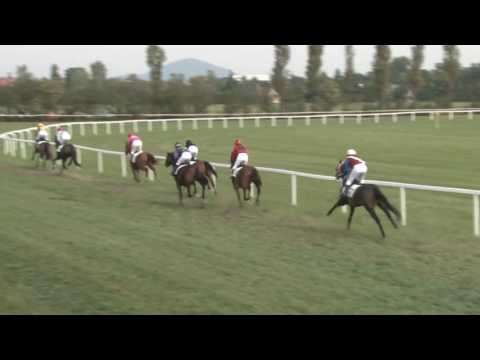 MI, 3. 9. 2016, 4. dostih - Cena SČADJ dostih amatérů