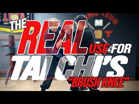 TAI CHI for FIGHTING: Brush Knee & Push Hands Combat Applications