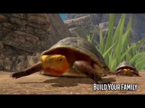 Box Turtle Simulator Video
