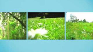 Curium | yes is