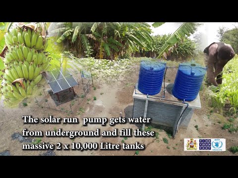VILLAGE IN BALAKA - MALAWI, END  FOOD INSECURITY WITH SOLAR POWER IRRIGATION @edwinmushani8051