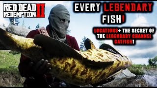 Red Dead Redemption 2 - Catch EVERY LEGENDARY Fish! Location Guide + Secret of the CHANNEL CATFISH!