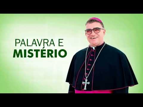 Os amigos de Jesus | Palavra e Mistério (29/07)