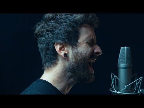 Selena Gomez, Marshmello - "Wolves" (Cover by Flight Paths)