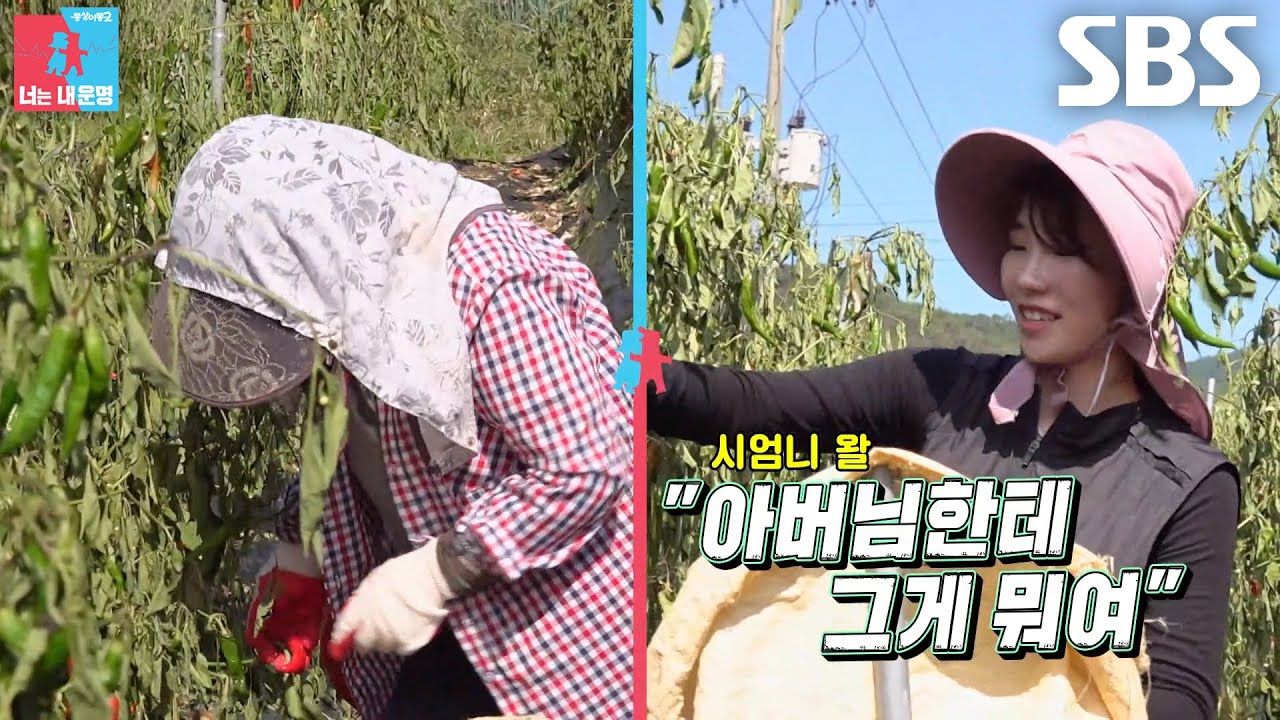 천혜린, 시부모님에게 딸같이 대했다 혼났던 일화