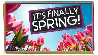 The Science of Spring!