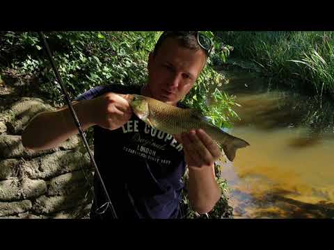 Pescuit La Clean Cu Paine (Record Personal )