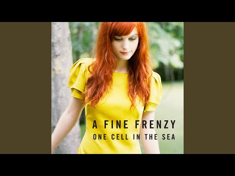 Hope for the Hopeless - A Fine Frenzy