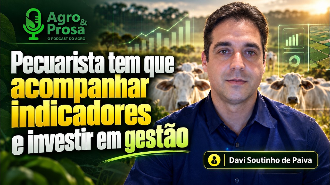 Nelore, genética e gestão sustentam pecuária em Alagoas