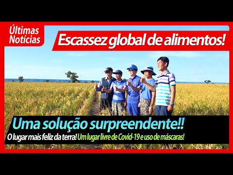 Doalnara Oasis Farm 2022 / Brazil, the new frontier for overseas farming/Organic farming