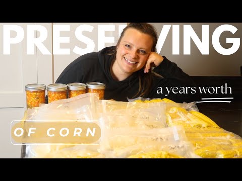 Preserving a Years Worth of Corn (Freezing and Canning for the First Time!)