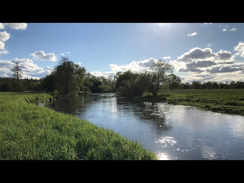 Heintges - Unterwegs in den Egerauen