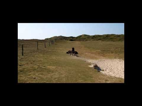 Normandie - Lindbergh Plage Dünen und Strand