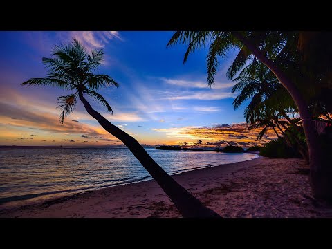 Paul Van Dyk  - Vonyc Sessions Episode 681 With (Guest Elated)