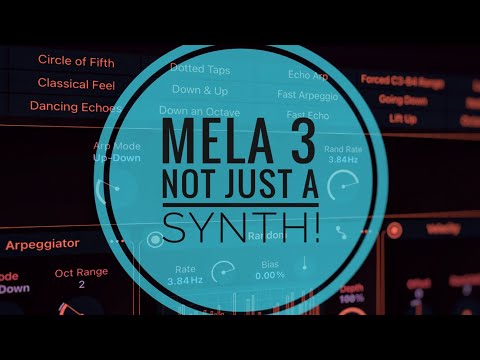 MELA 3 (Nikolozi) Midi FX Unit is EXCELLENT!