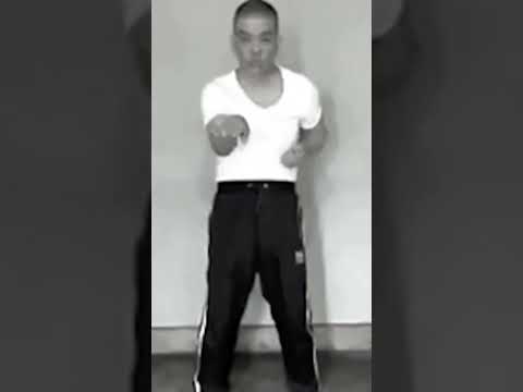 Grandmaster Joseph Lee Siu Lin Tao