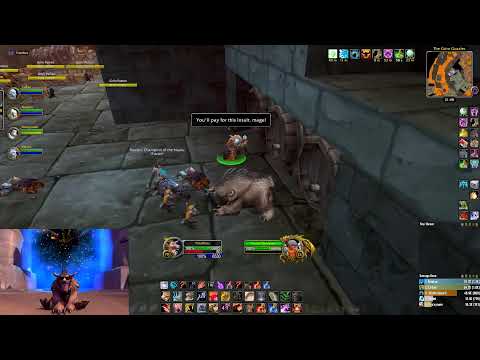 WoW TBC Classic Karazhan - Feral Druid