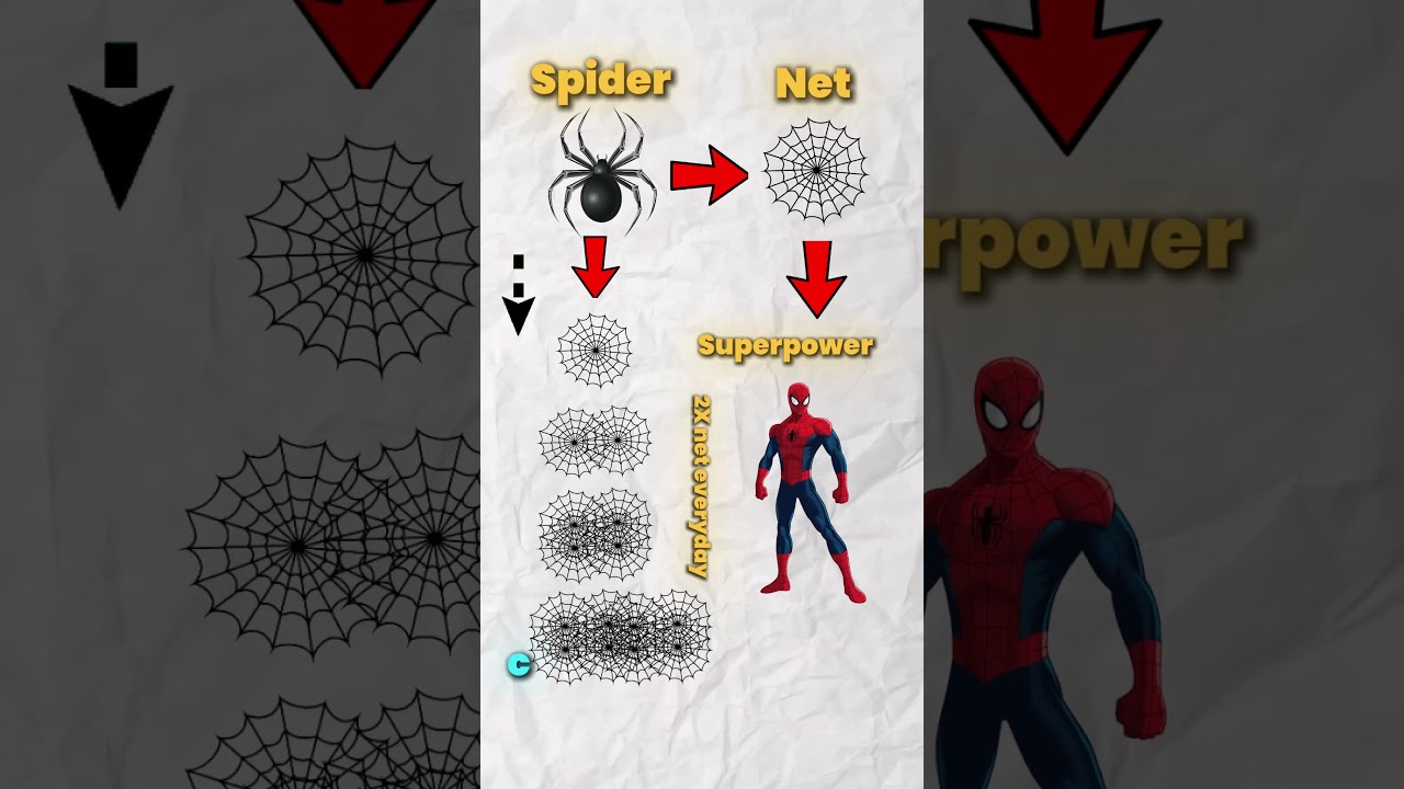 Can You Solve This Bloomberg Interview Puzzle? 🕸️