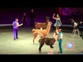 Ringling Bros Presents LEGENDS Our Animal Performers
