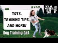 Dog Training Q&A - Tots, Training Tips & More - What Would Jeff Do? Ep.749 (2020)