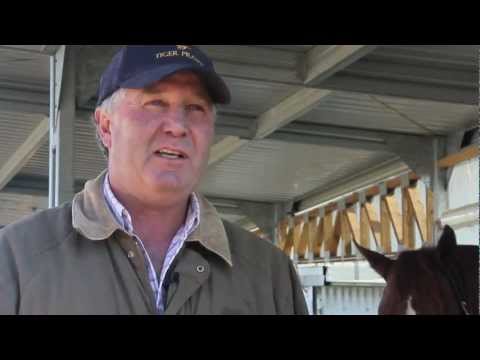 download lagu mp3 mp4 Gary Hennessy Horse Trainer, download lagu Gary Hennessy Horse Trainer gratis, unduh video klip Gary Hennessy Horse Trainer