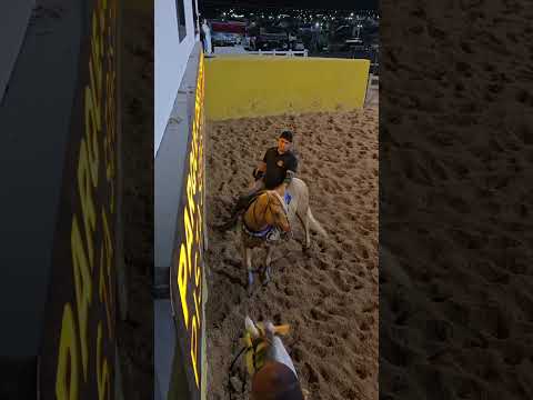 Prefeito Bebeto Barros PARQUE DE VAQUEJADA JOSÉ DE MESSIAS BARROS GIRAU DO PONCIANO-AL  06/12/25