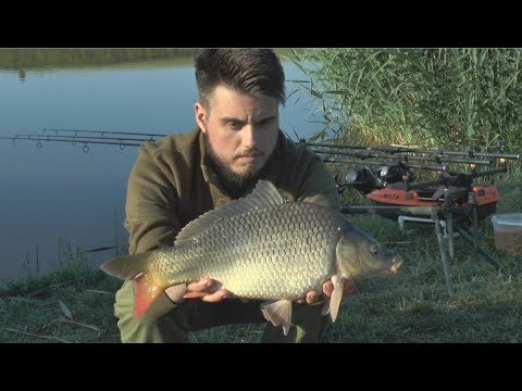 Mincinosii - 10 iunie 2018